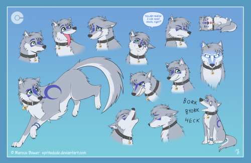 Trace Expressions